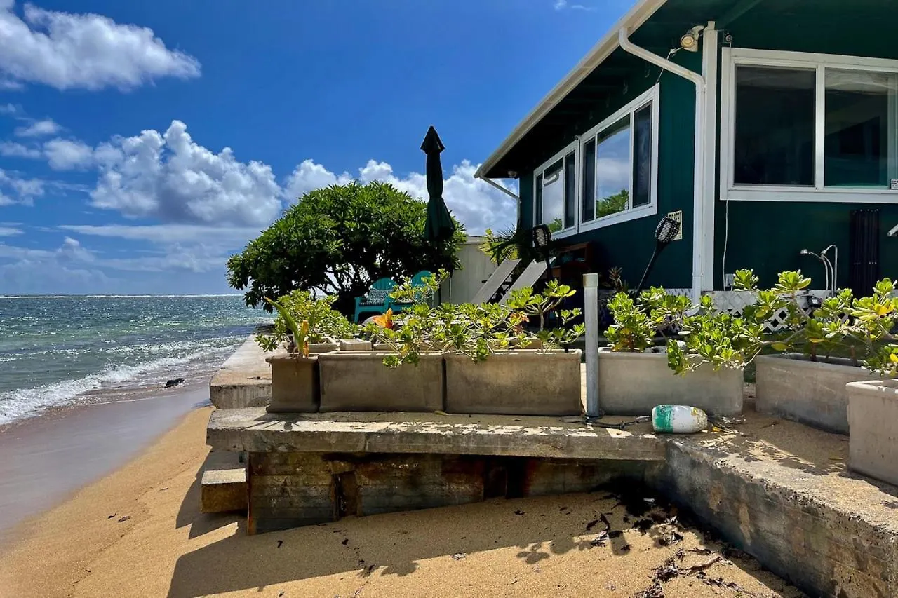 Sea Turtle Cottage ライエ 米国